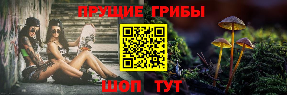 Галлюциногенные грибы мухоморы  Псилоцибиновые грибы Psilocybe  Амурск  Вход с VPN 